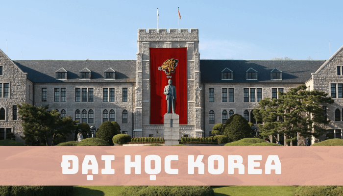 dai-hoc-korea